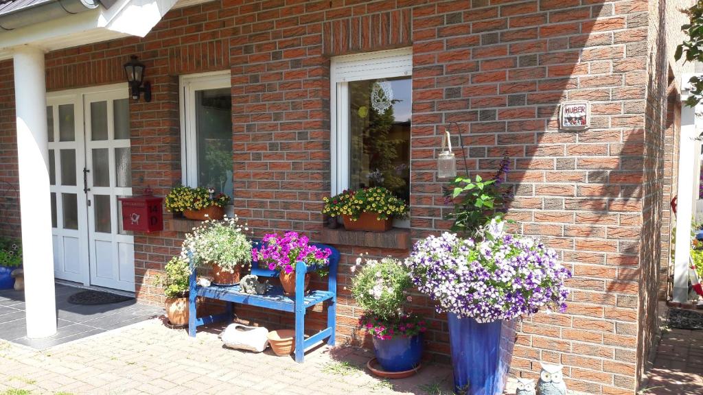 a house with potted plants on the side of it at Ferienwohnung Huber,Mönchgut in Middelhagen