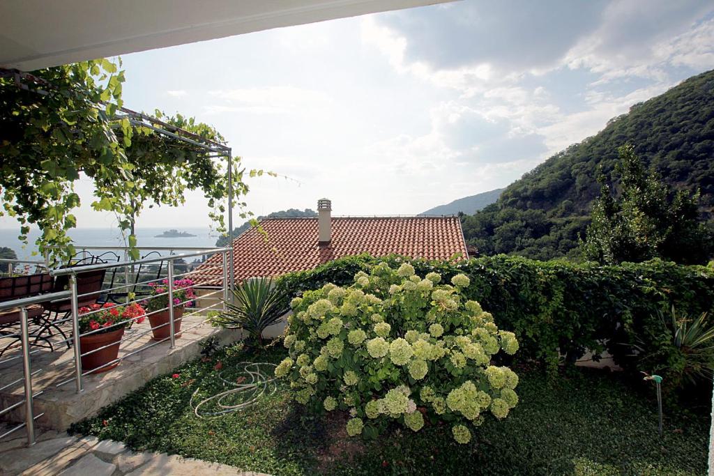 a garden with a bush of flowers on a balcony at Apartments Radulovic in Petrovac na Moru