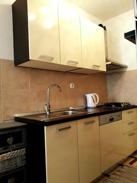 Kuchyň nebo kuchyňský kout v ubytování Apartments Vrisak