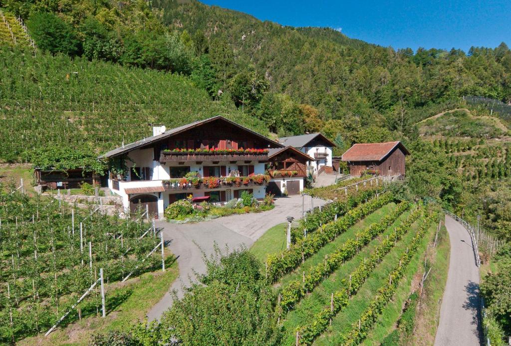 un edificio in un vigneto vicino a una strada di Bognerhof a Rifiano