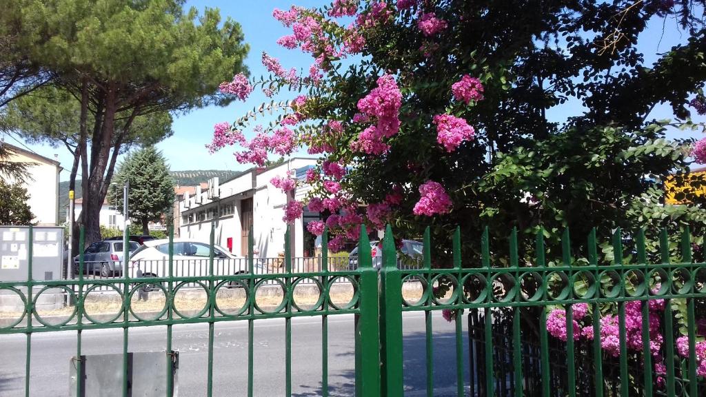 a green fence with pink flowers on it at La Casetta Dei Cedri in Magione