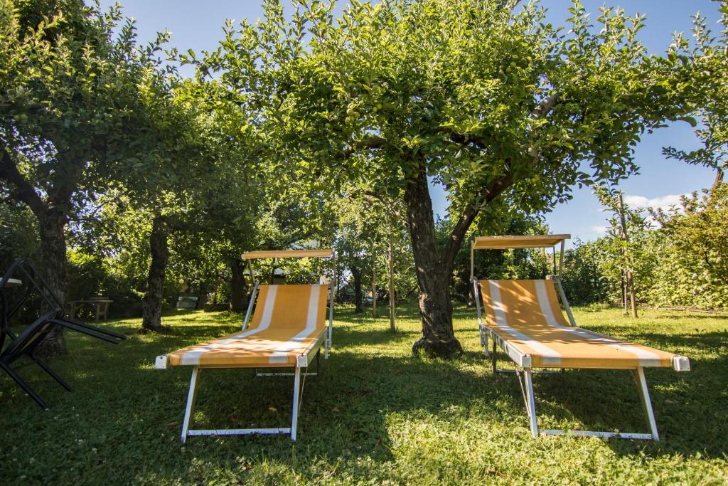 Zahrada ubytování Hotel Gasthof WASTL