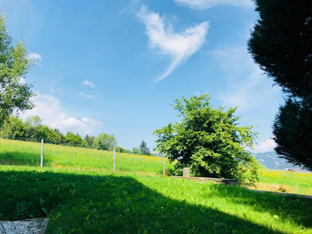 Zahrada ubytování Rafael Kaiser Residence Privée - Spielberg Obdach