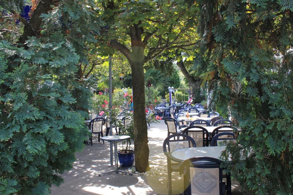 Zahrada ubytování Hotel Central