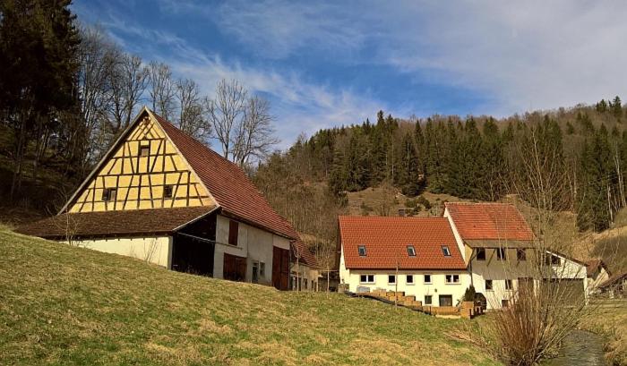 un grupo de edificios en una colina pastosa en Mühlenchalet, en Gundershofen