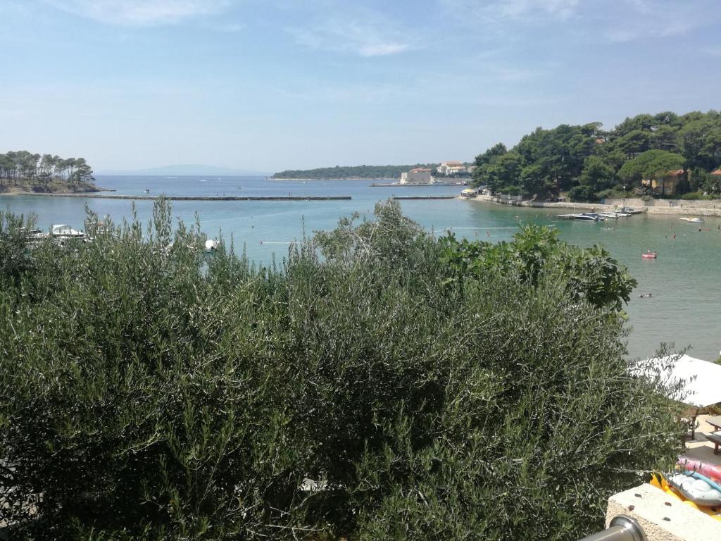 a view of a body of water with trees at Pende in Banjol