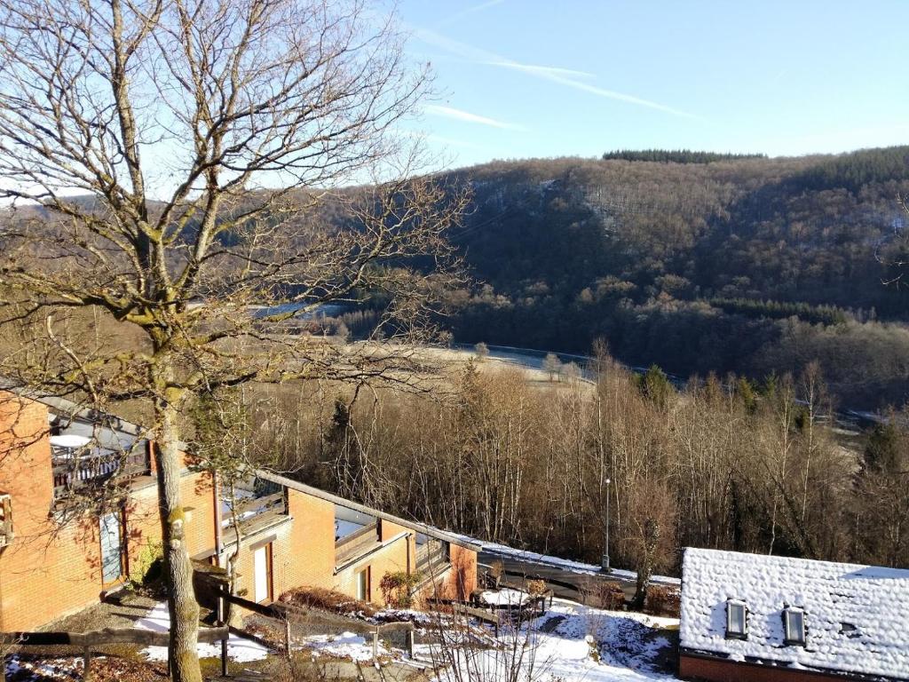 uma casa na neve com uma montanha ao fundo em Domaine "Les Hochets em Vresse-sur-Semois