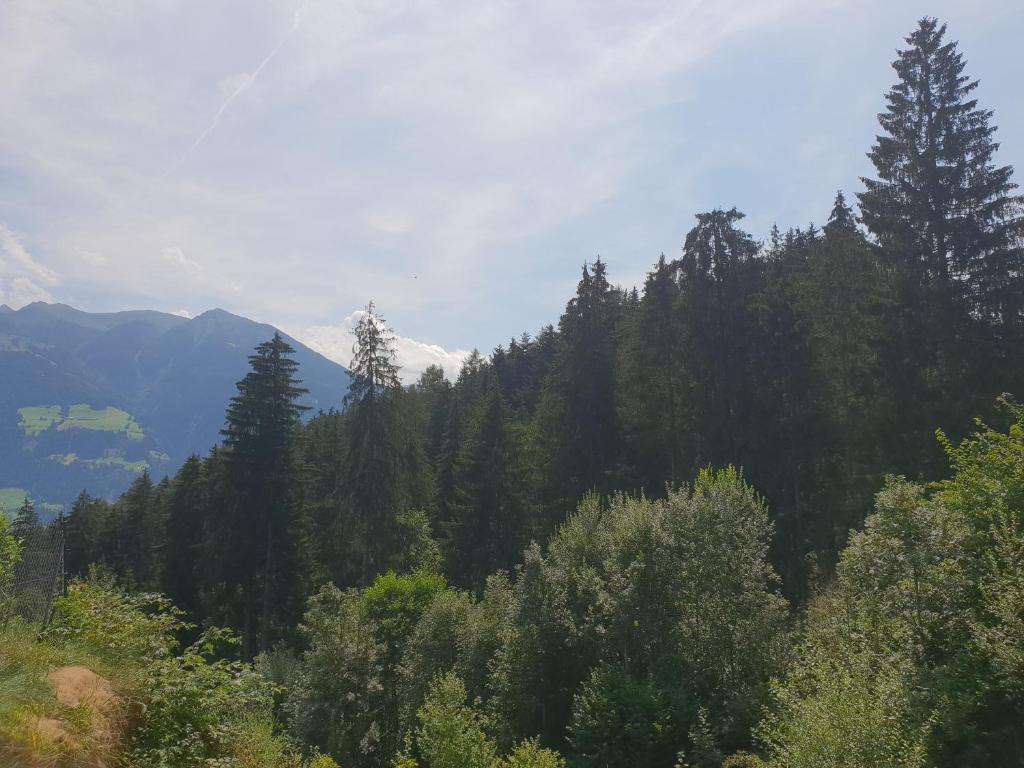 Příroda nedaleko apartmánu