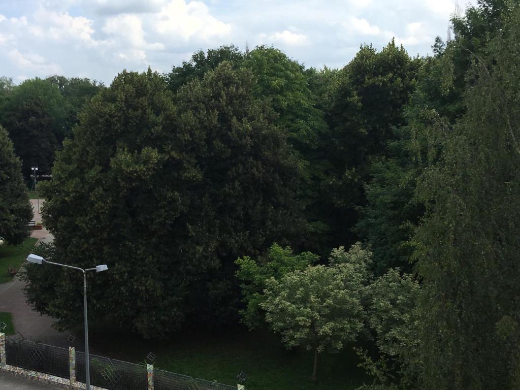 Příroda nedaleko apartmánu