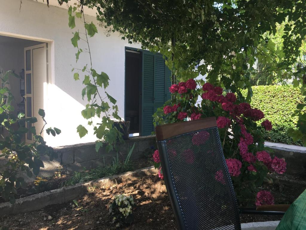 Zahrada ubytování House Nada