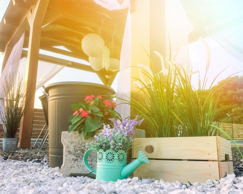 a garden with a pot of flowers and a wooden box at Apartments Borghetto in Vinkuran