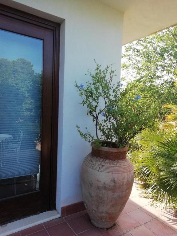 Vonkajšia záhrada v ubytovaní Casa Gelsomino