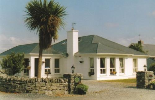 a white house with a palm tree in front of it at Burren View B&B in Ballyvaughan