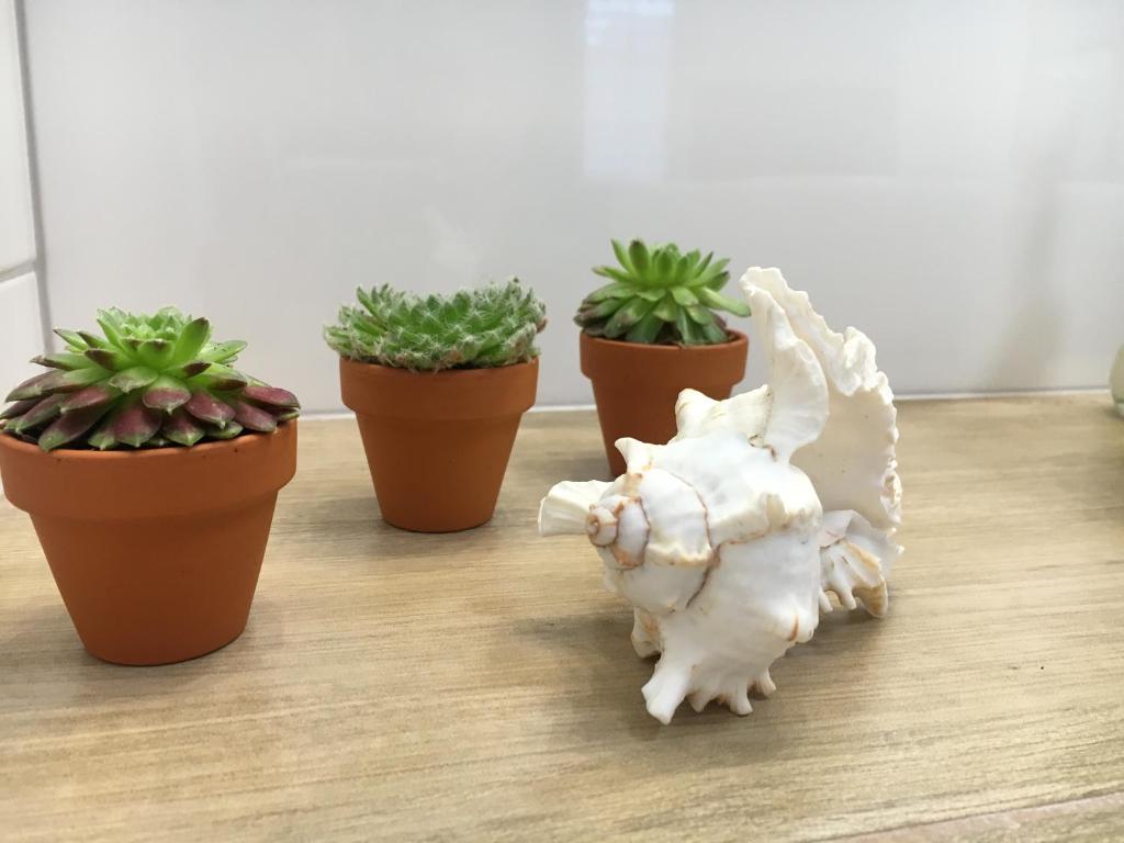 Apartamenty AP 1 - 7