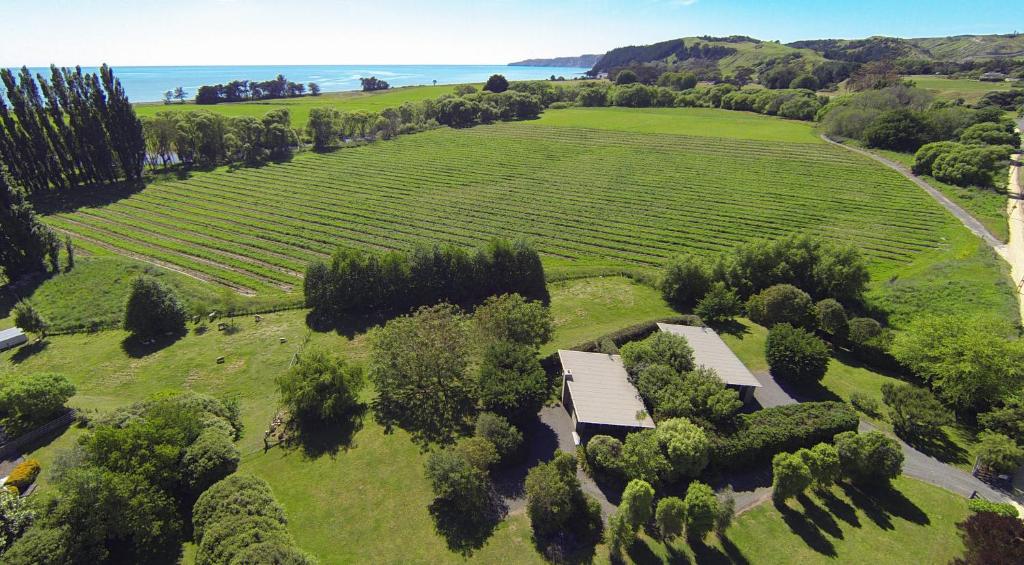 an aerial view of a large green field with trees at Te Awanga Cottages in Te Awanga