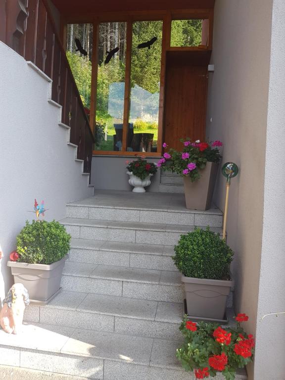 Zahrada ubytování Appartement Seggl