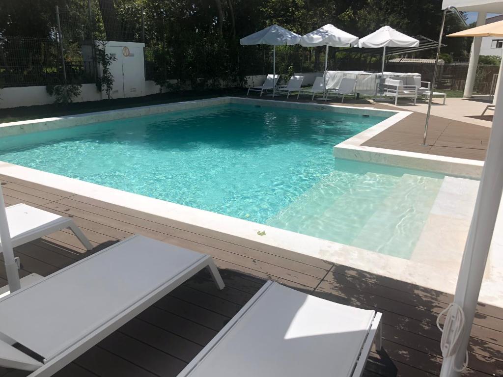 uma piscina com cadeiras e um guarda-sol em Evora Olive Hotel em Évora