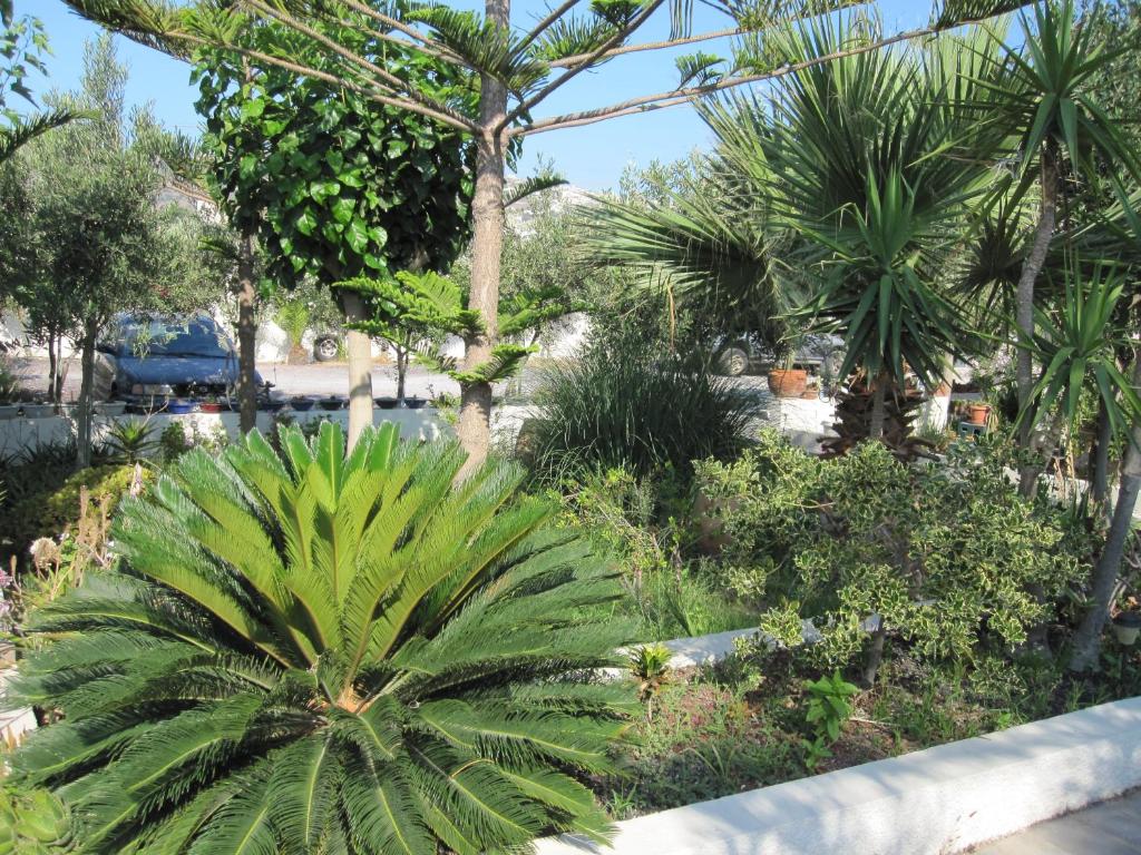 Zdjęcie z galerii obiektu Villa Nikos Karamolegkos Kamari w mieście Kamari