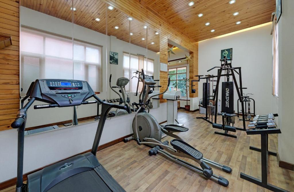 Fitness centrum a/nebo fitness zařízení v ubytování Bravia Hotel Manali Inn
