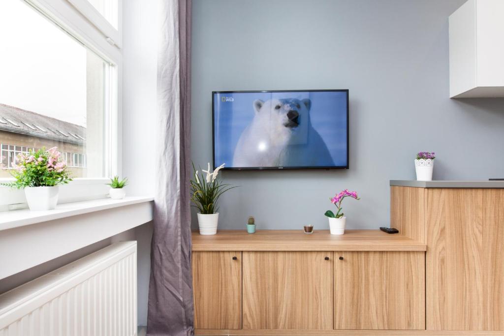 TV a/nebo společenská místnost v ubytování Rooms and Apartments Glossy