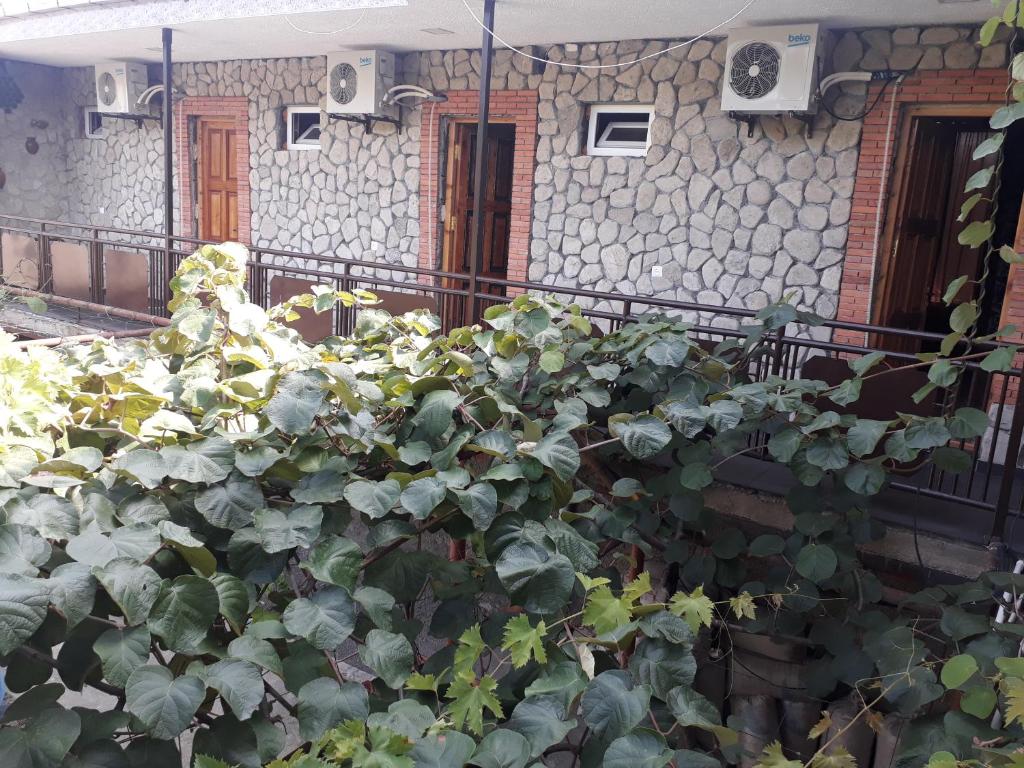 Zahrada ubytování Hotel E U R O P E