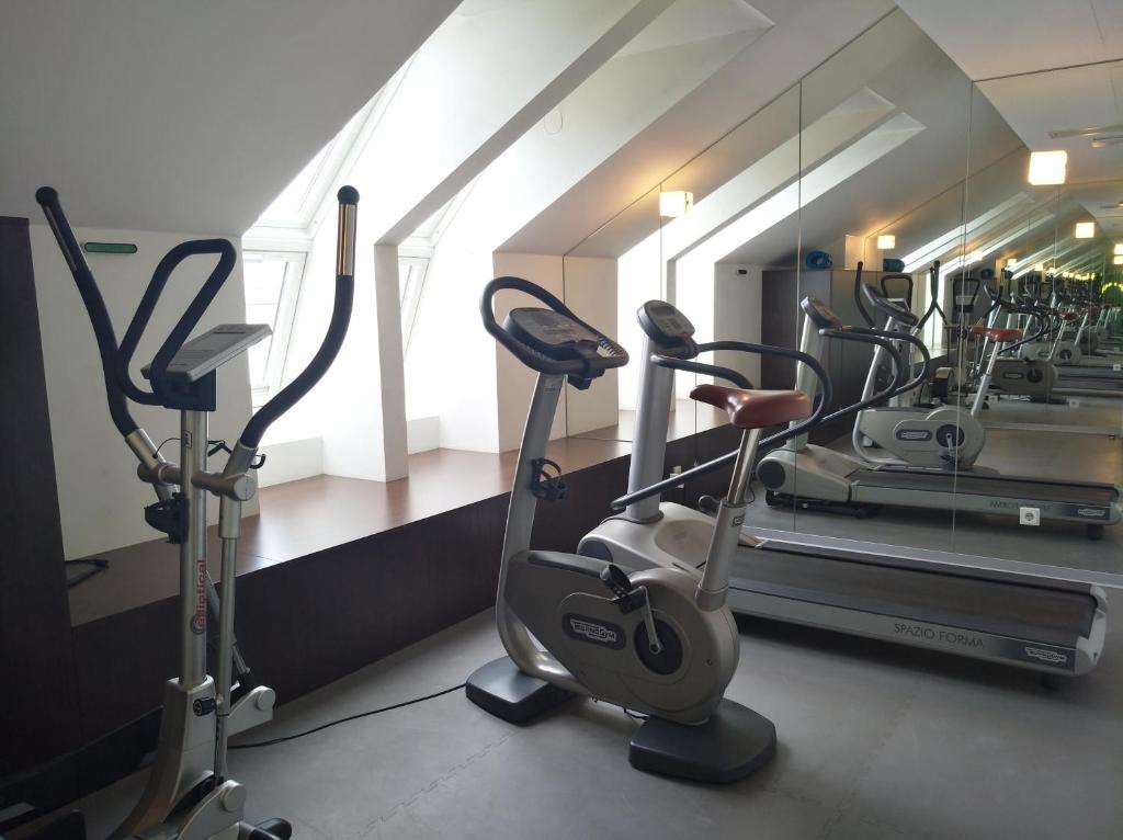Fitness centrum a/nebo fitness zařízení v ubytování arte Hotel Linz