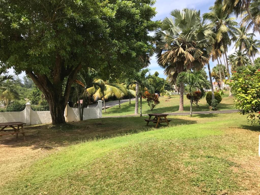 un parque con 2 mesas de picnic y palmeras en Michel Holiday Apartments en Victoria