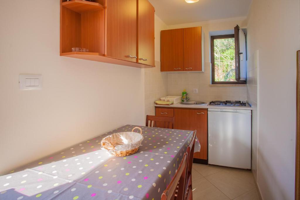 Kuchyň nebo kuchyňský kout v ubytování Apartments Ljubo & Lili