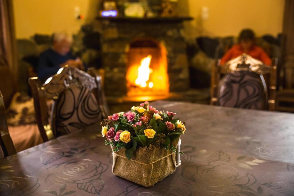 Fotografie z fotogalerie ubytování Villa Lileo v destinaci Ušguli
