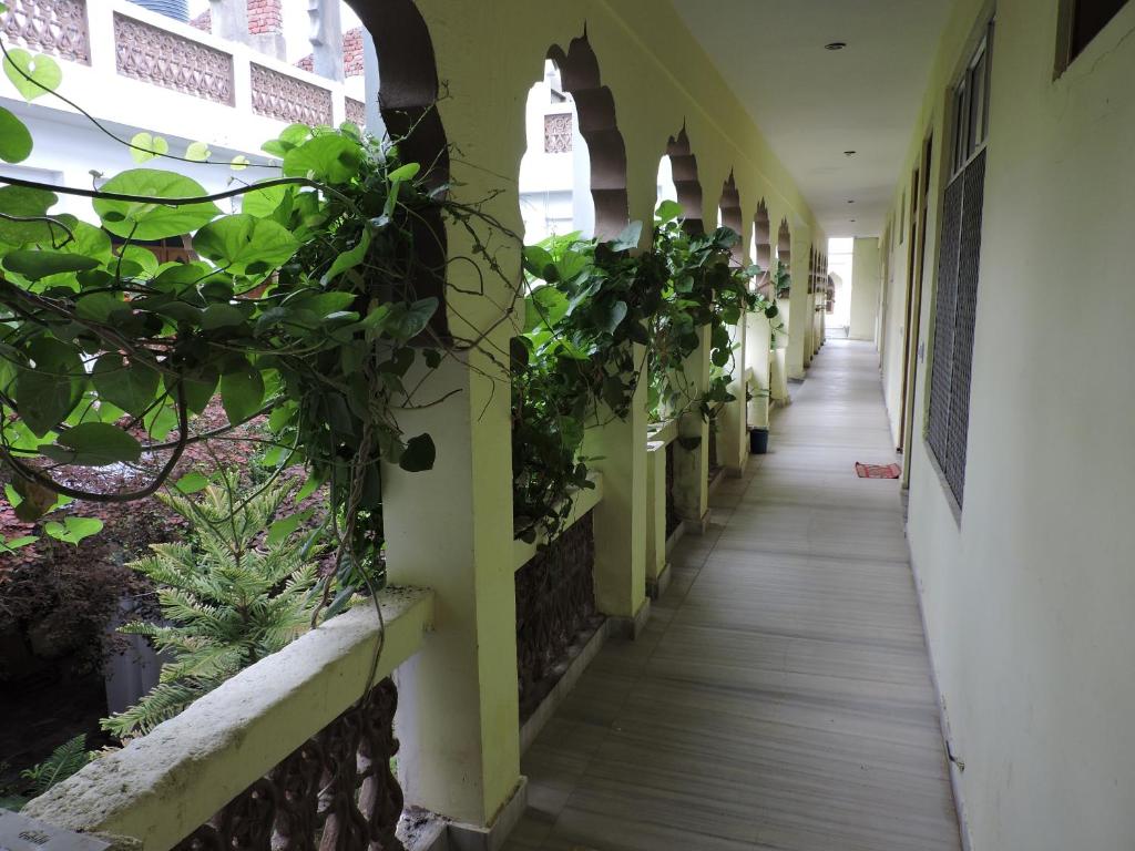 Zahrada ubytování Radhika Palace Hotel