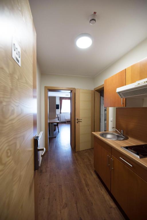 Kuchyň nebo kuchyňský kout v ubytování S Hotel