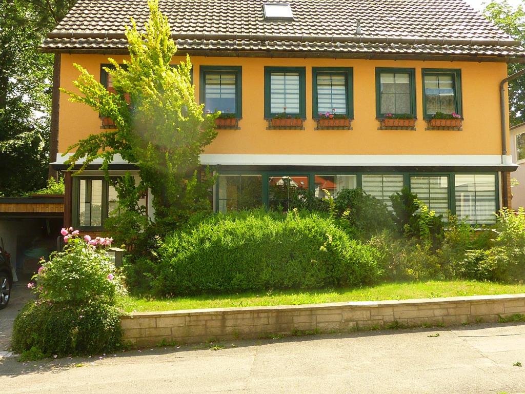 ein Haus mit Fenstern und Büschen davor in der Unterkunft Ferienwohnung Kranich in Bad Sachsa
