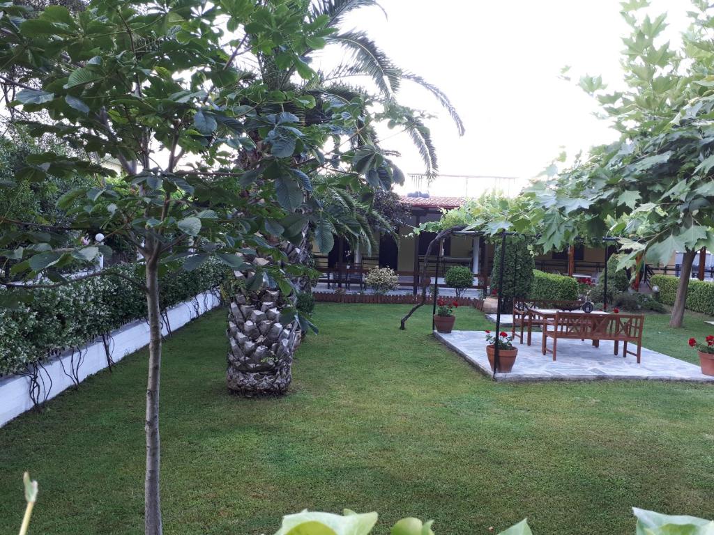 a garden with a tree and a table and chairs at Palm House in Paralia Panteleimonos