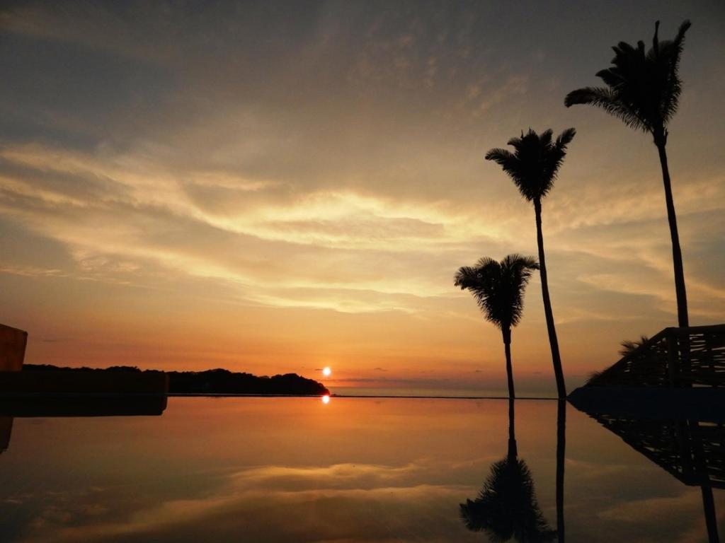 two palm trees in front of a sunset at Villa Los Corales in Sayulita