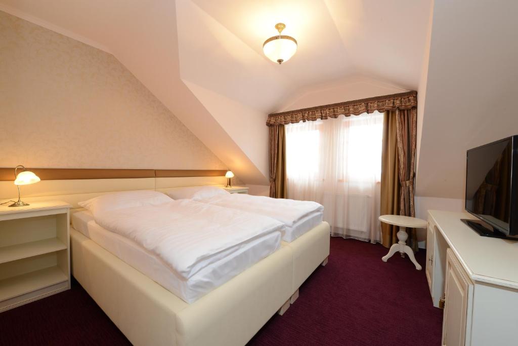 TV a/nebo společenská místnost v ubytování Hotel Gold Chotoviny