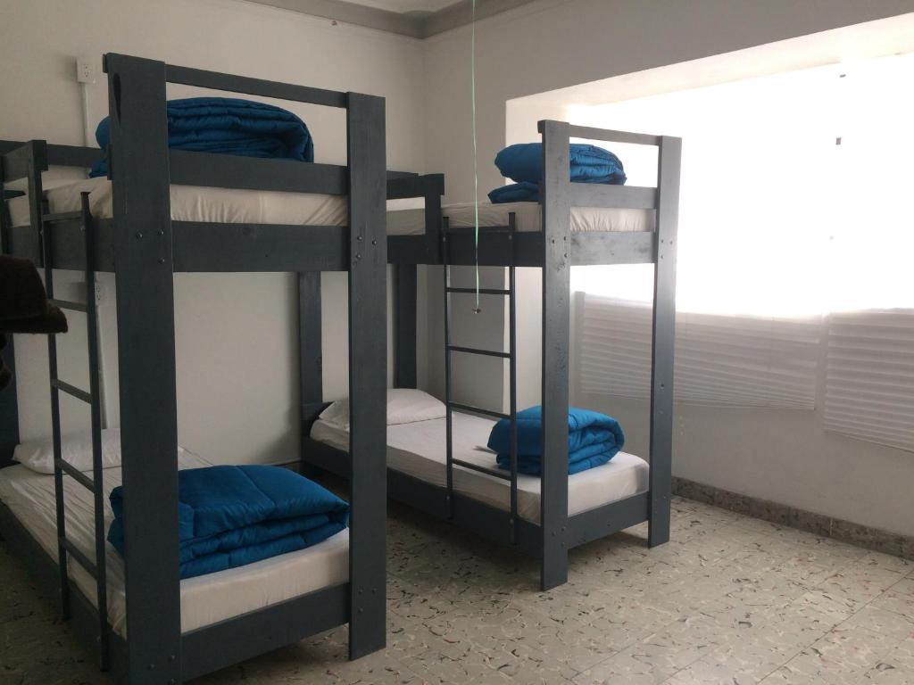 Palanda nebo palandy na pokoji v ubytování El Petate Hostel