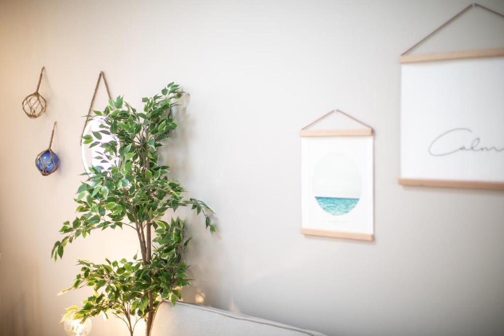 Feel Nazaré - Boutique Apartments - 16