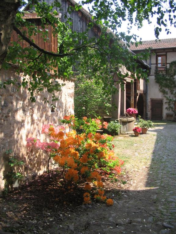 Les Hortensias – photo 14