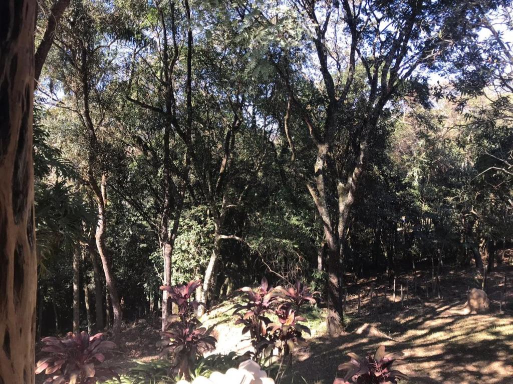  Paz e Aconchego.
