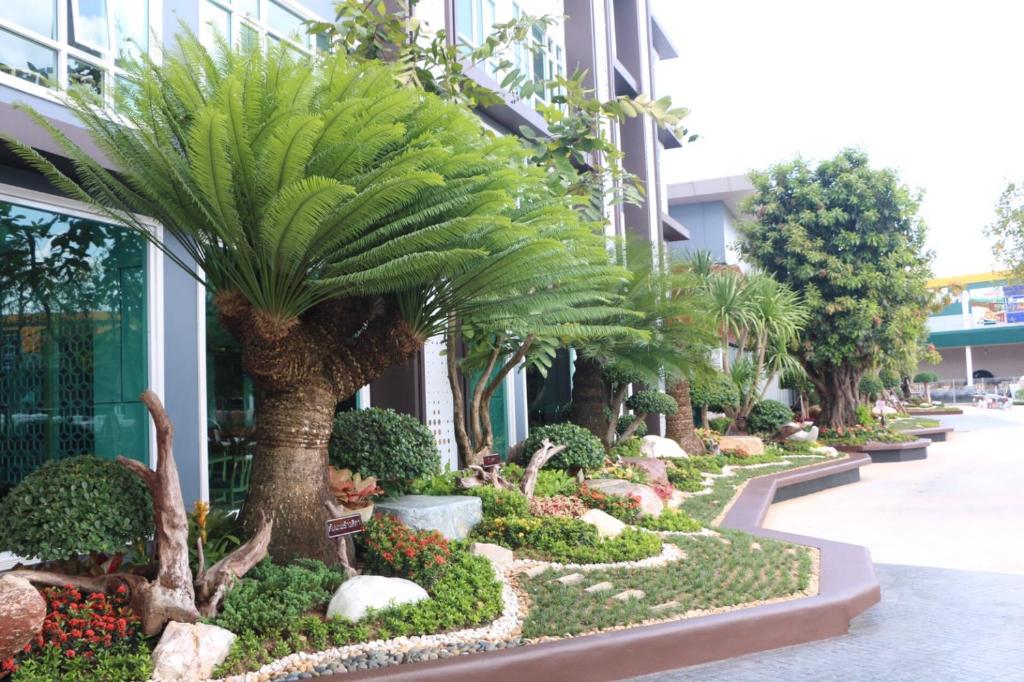 Zahrada ubytování Avada Hotel