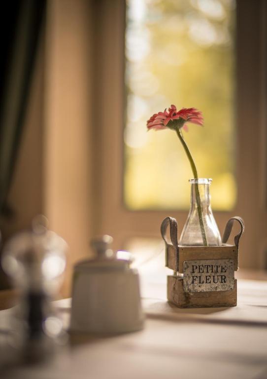 Fotografie z fotogalerie ubytování Appartement-Hotel-Anlage Tannenpark v destinaci Tanne