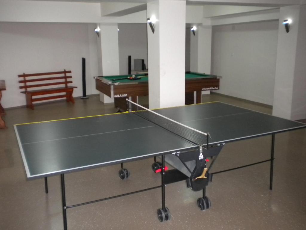 Stolní tenis v ubytování Vila Crinul nebo okolí
