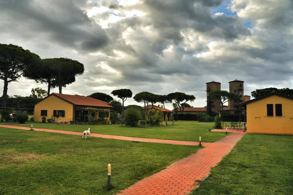 a dog standing in a field next to a house at La Fattoria di Tirrenia in Tirrenia
