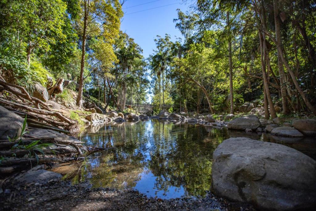 Gallery image of Cedar Creek Lodges in Mount Tamborine