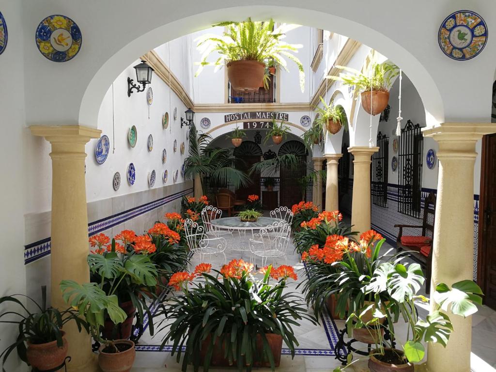 Fotografie z fotogalerie ubytování Hostal Maestre v destinaci Córdoba