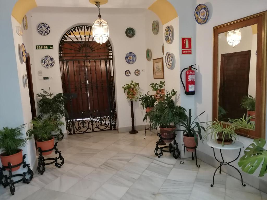 Fotografie z fotogalerie ubytování Hostal Maestre v destinaci Córdoba