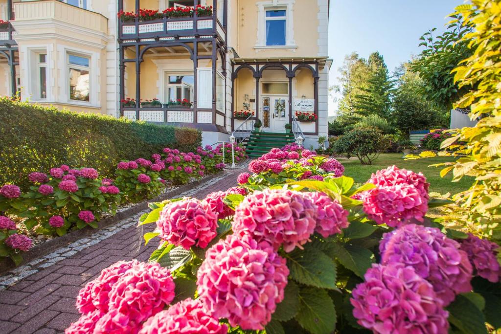 Zahrada ubytování Hotel Rosenau