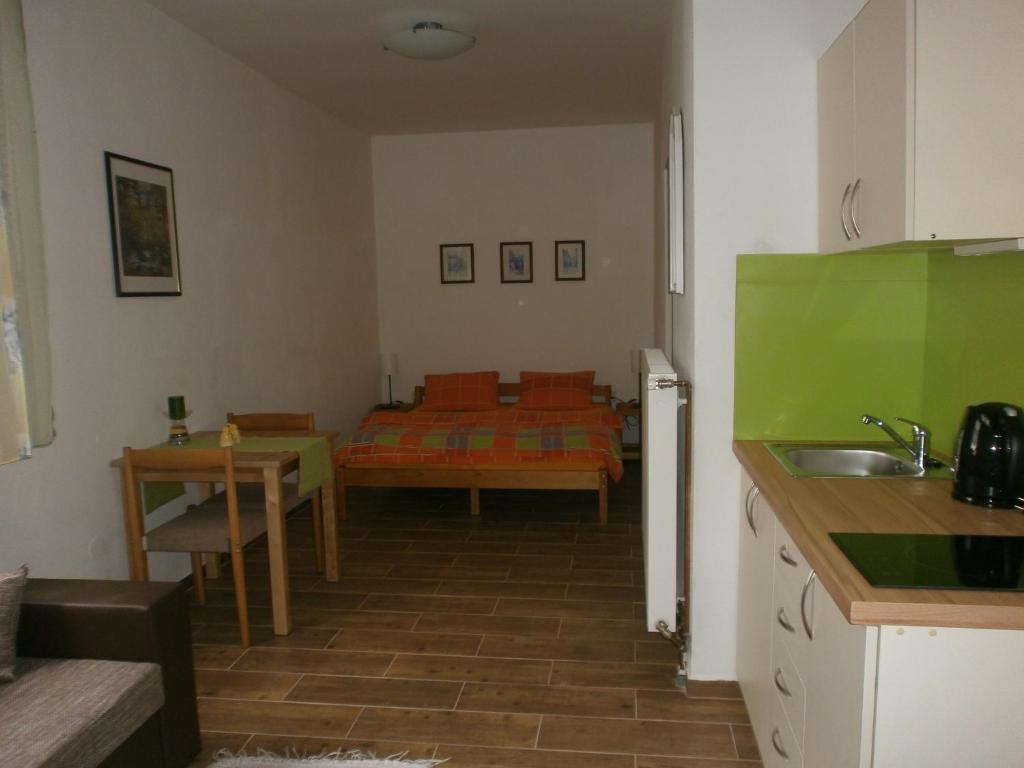 Kuchnia lub aneks kuchenny w obiekcie Penzion Bližanovy