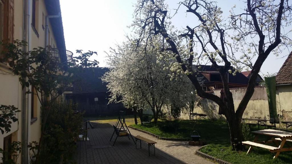 Zahrada ubytování Pension GreenHouse