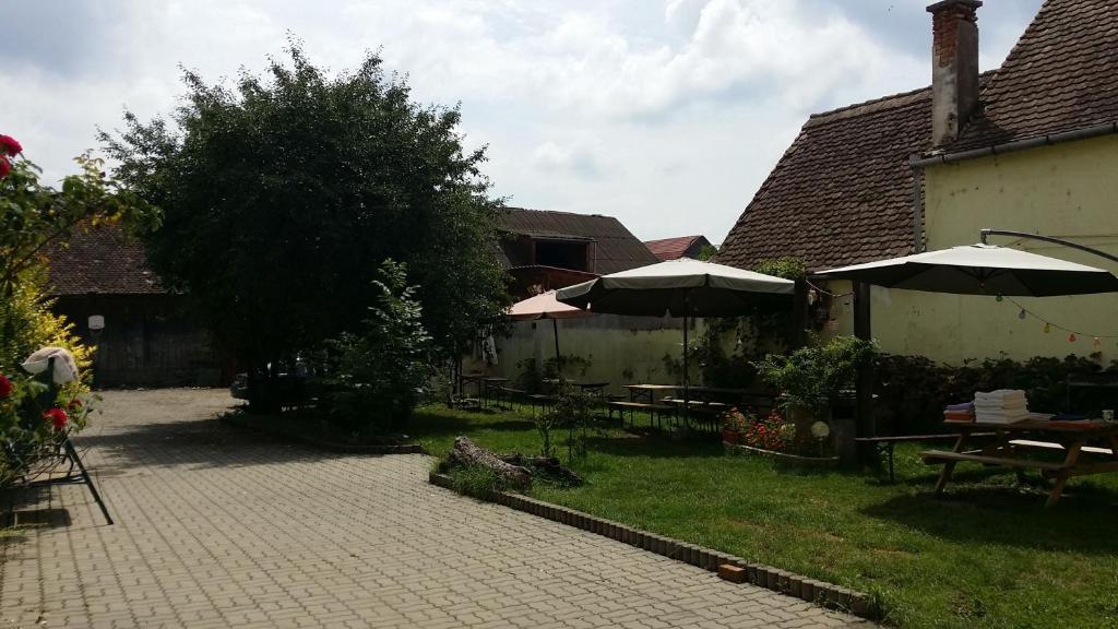 Zahrada ubytování Pension GreenHouse